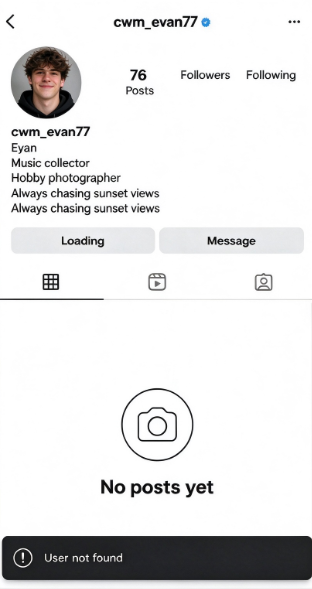ภาพหน้าจอการจำกัดของแพลตฟอร์ม: Instagram · 01