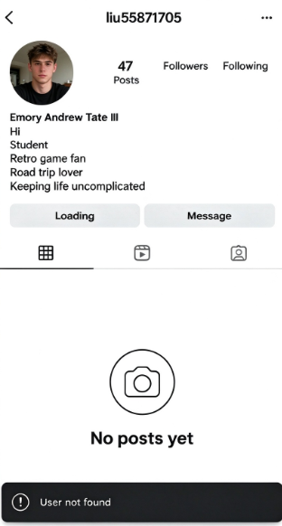 ภาพหน้าจอการจำกัดของแพลตฟอร์ม: Instagram · 04